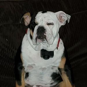 Meet your Posher, Nick